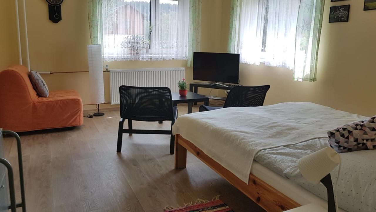 Apartment Arnika Kořenov エクステリア 写真